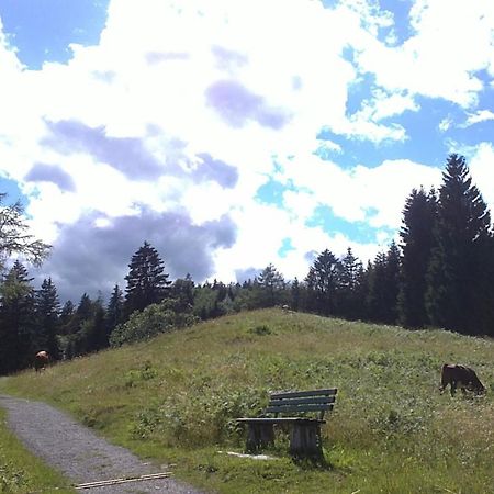 Landhaus Steinbrech Hotell Grainau Exteriör bild