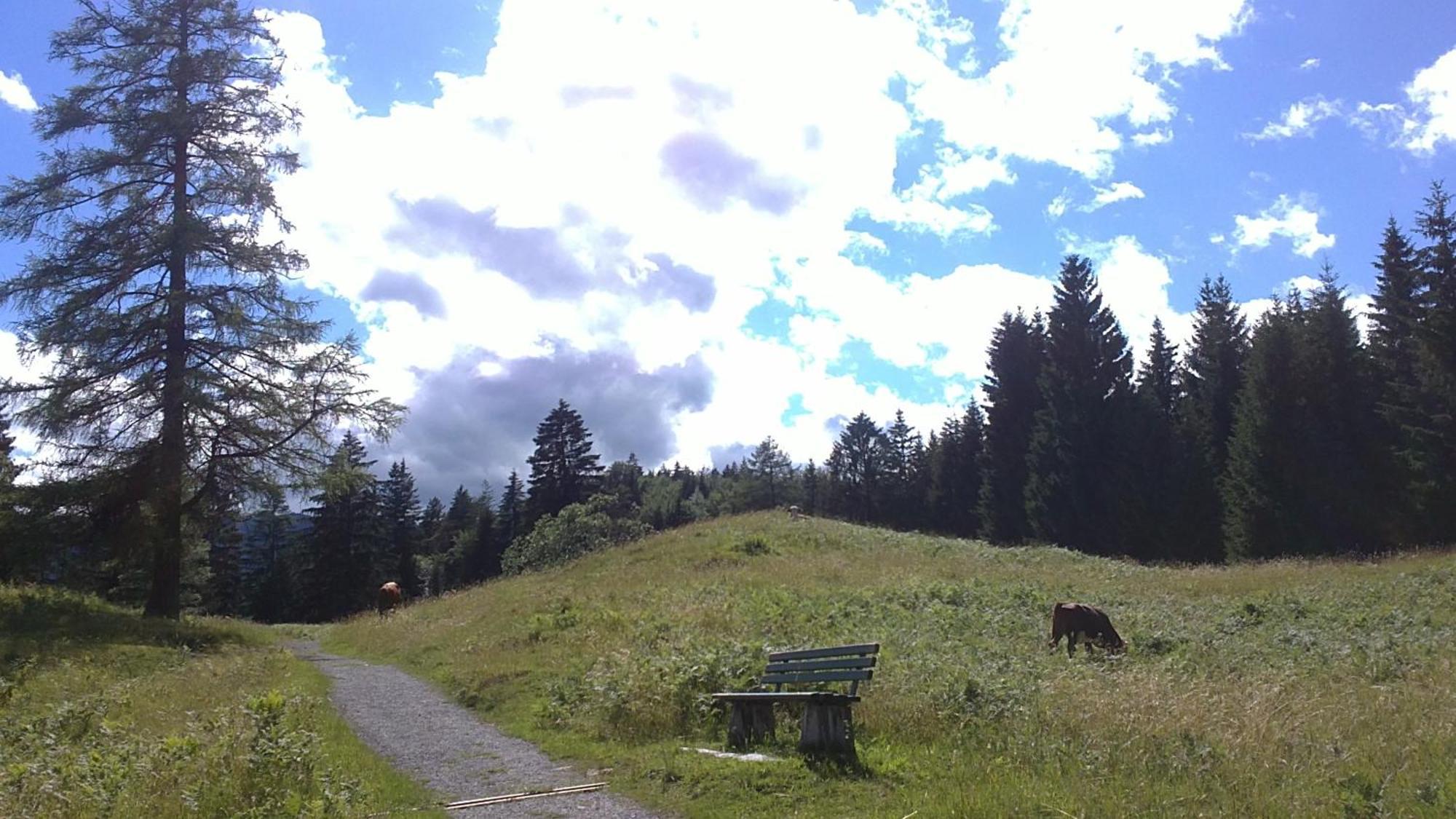 Landhaus Steinbrech Hotell Grainau Exteriör bild